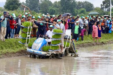 उन्नाइसौँ राष्ट्रिय धान दिवस तथा रोपाइँ महोत्सव (फोटो फिचर)